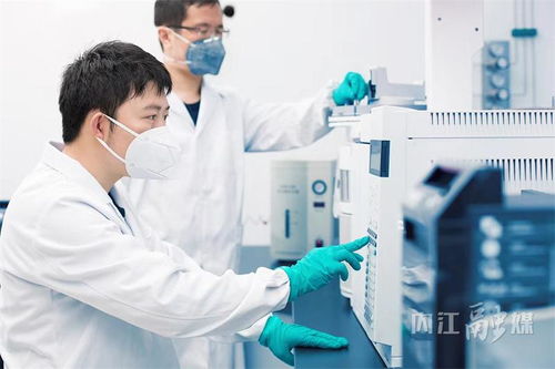 甜城舌尖守護(hù)者——解碼內(nèi)江食品藥品安全與檢驗檢測服務(wù)